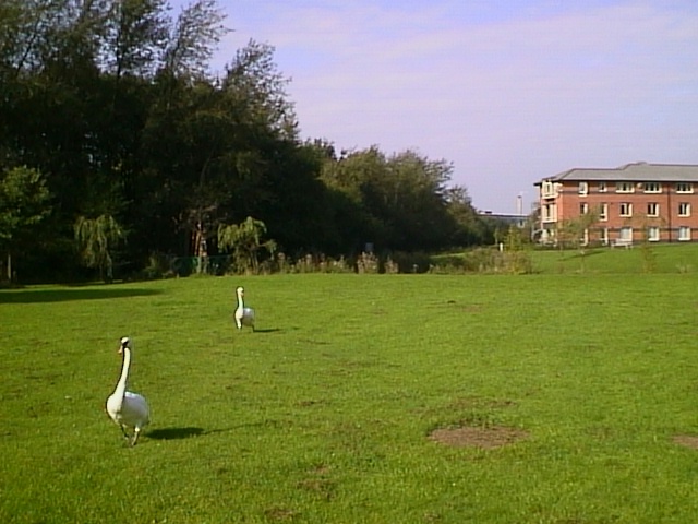 image07.jpg (109393 bytes)