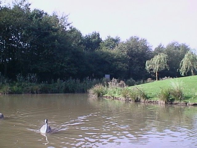 image10.jpg (110299 bytes)