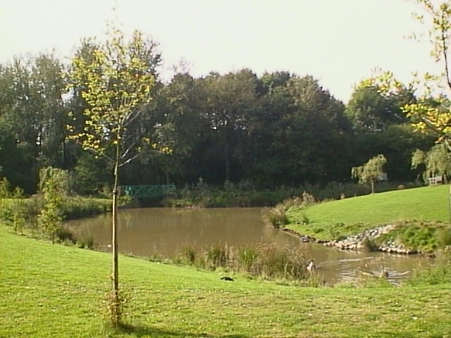 image12.jpg (126100 bytes)