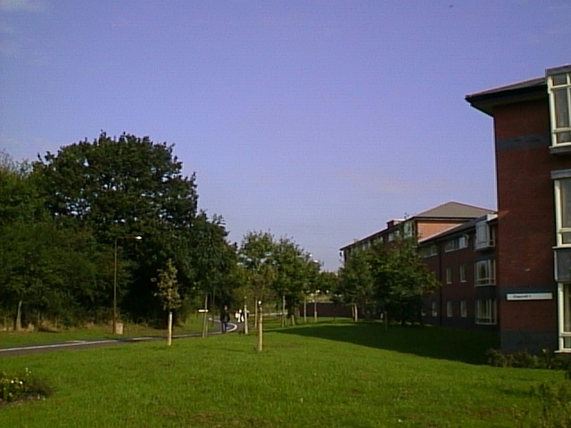 image14.jpg (95744 bytes)