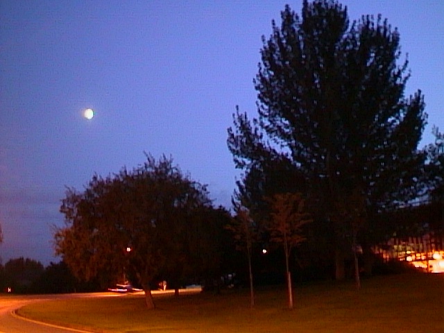image48.jpg (100276 bytes)